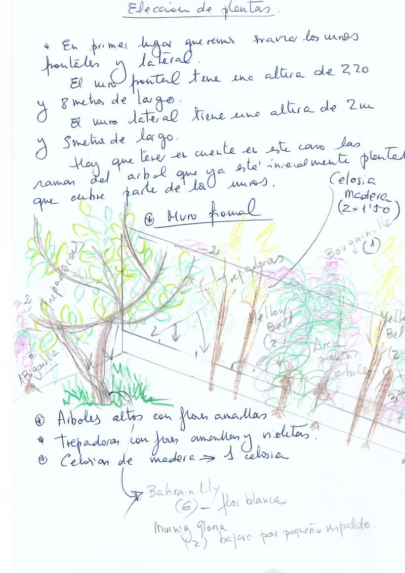 Dibujo del proyecto con la eleccion de las plantas y su colocacion inicial