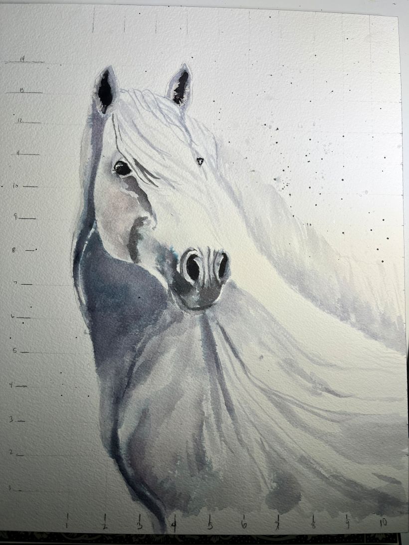 Drawings To Paint & Colour Horses - Print Design 023