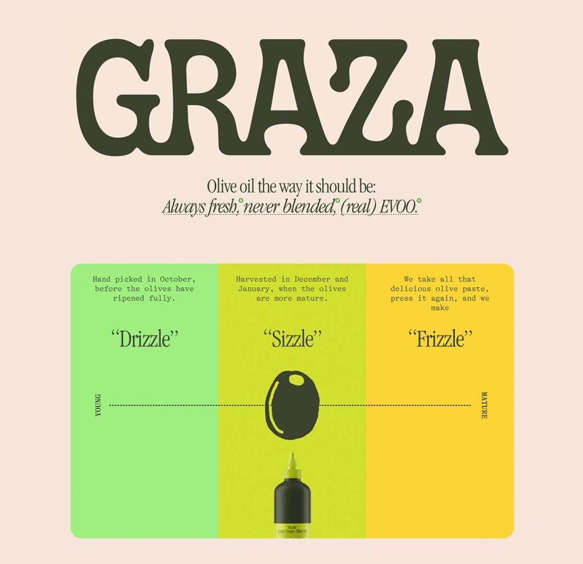 Ein Beispiel für Elemente der Graza-Website, einschließlich des Wortmarkenlogos und einiger farbenfroher Designelemente.
