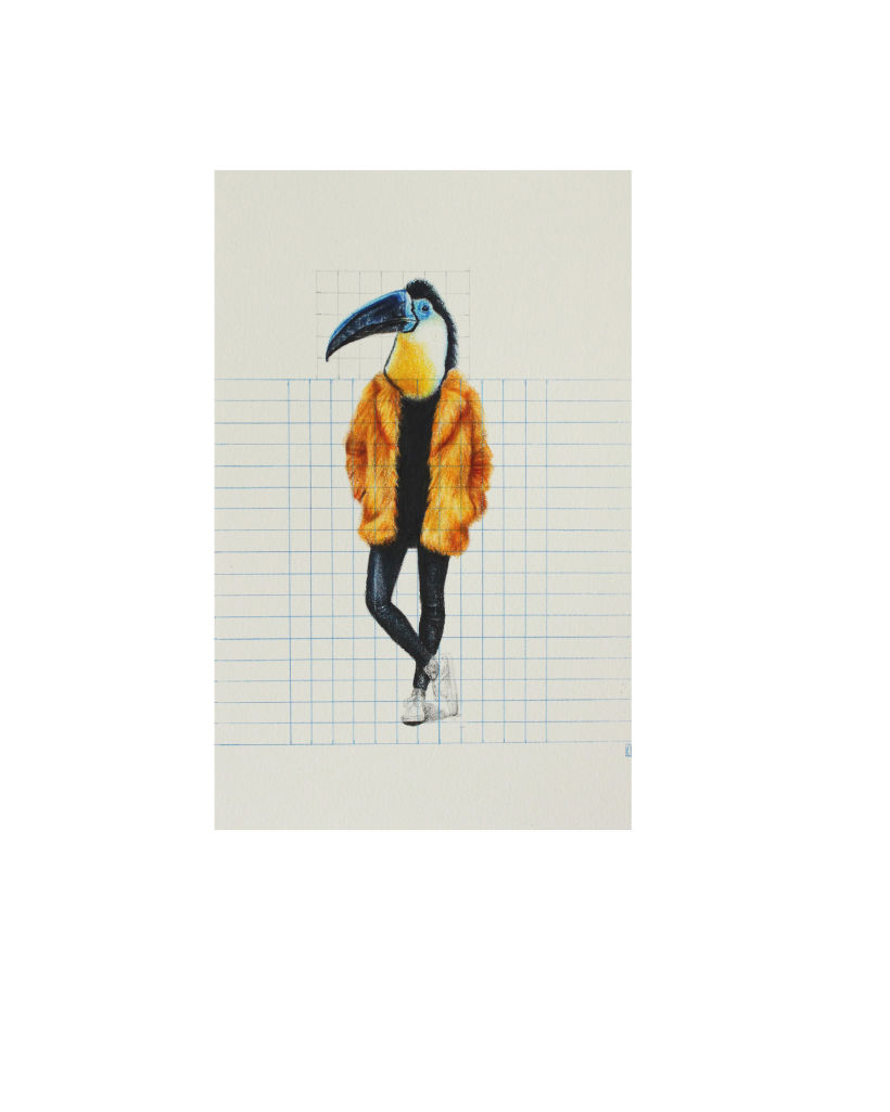 Tucán Abrigo amarillo. Lápiz a color sobre papel.20x25cm. 2018