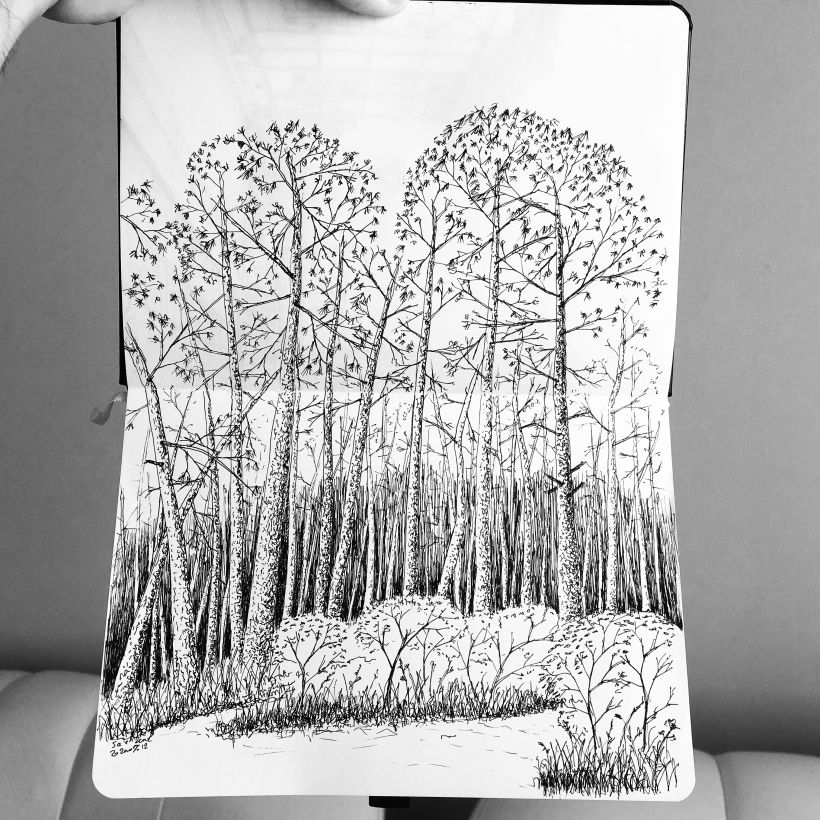 A sketch from a forest  in Istanbul .