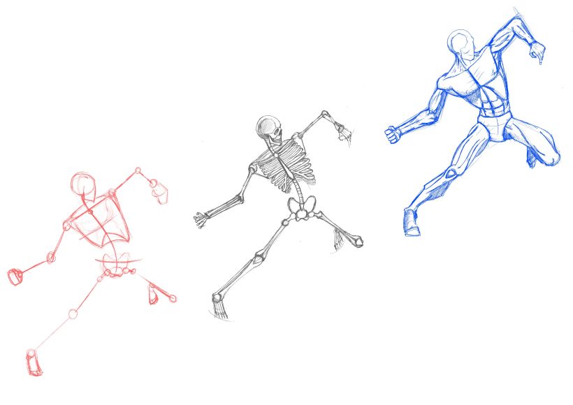 Il mio progetto del corso: Disegno anatomico per principianti 2