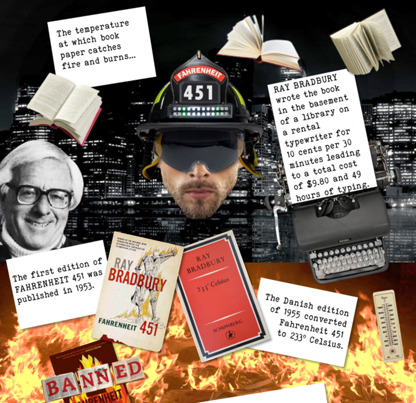 I read banned books: Fahrenheit 451 (My project for course: Effective Data Visualization: Transform Information into Art) 6