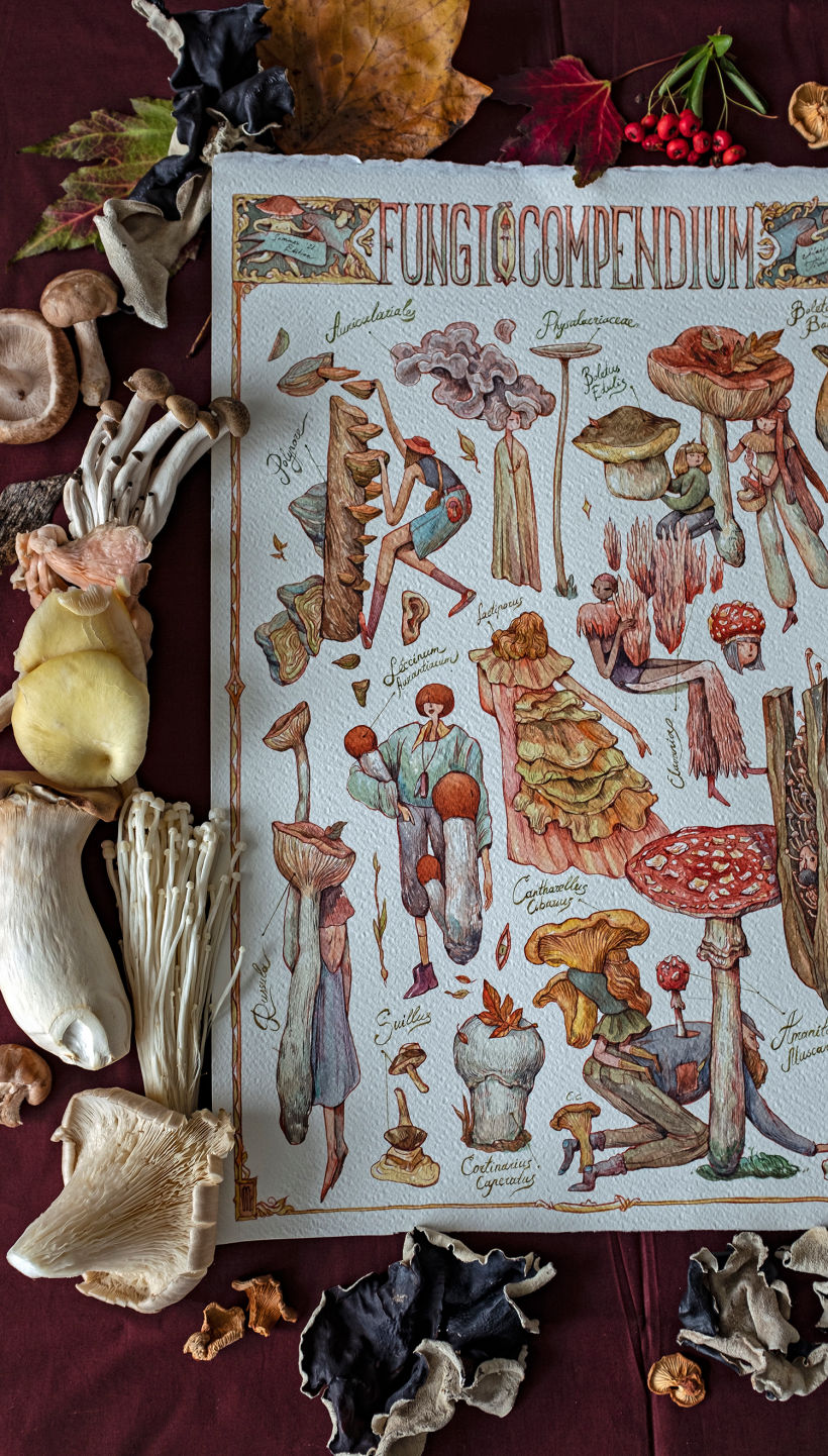The Fungi Compendium 3