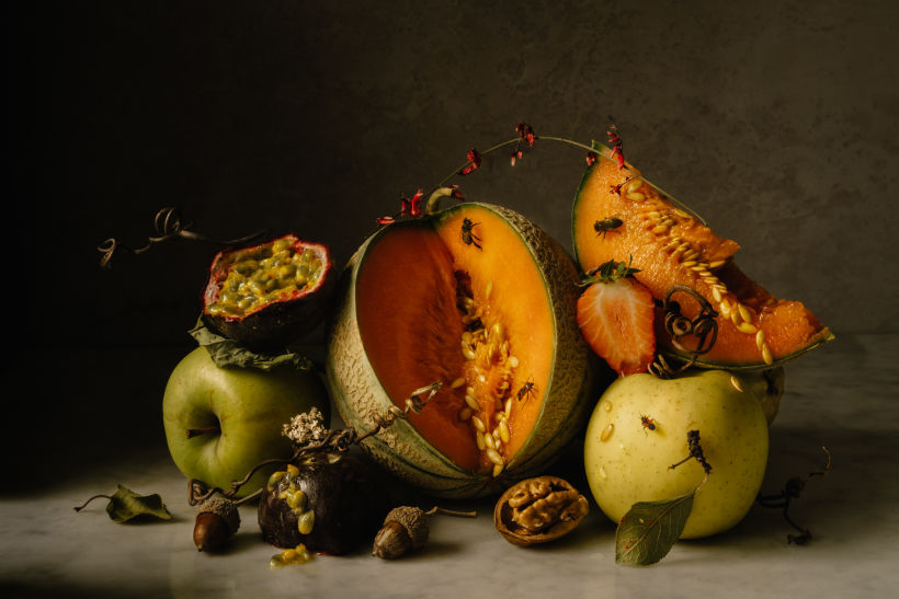 Still Life with Fruits, Nuts, Flowers, & Insects