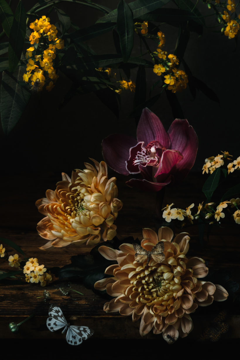 Still Life with Flowers, & Insects