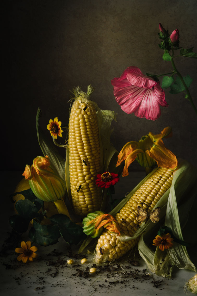 Still Life with Corn, Squash Blossom, Flowers, & Insects