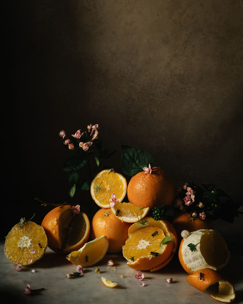 Still Life with Oranges, Flowers & Insects