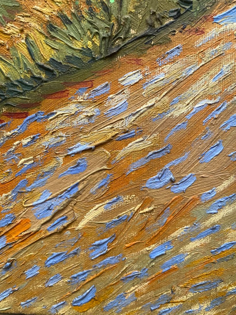 Close Up of Van Gogh Painting - Inspiration photo by Elsa Tierney