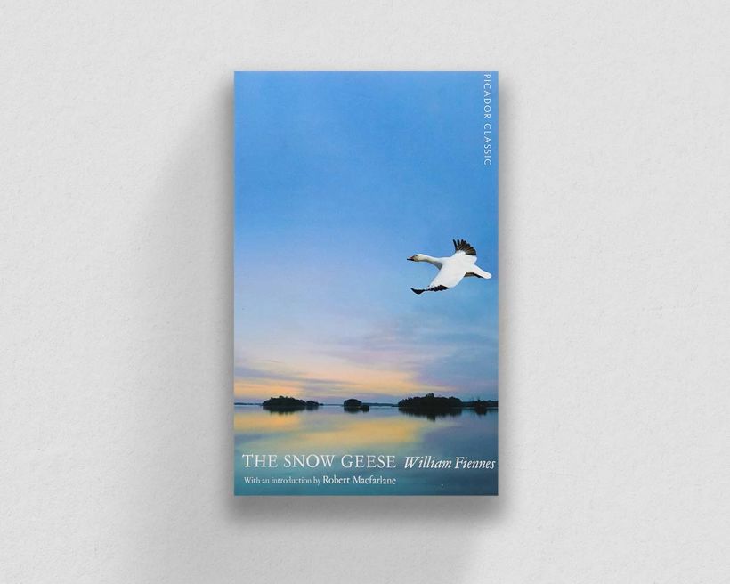The Snow Geese, by William Fiennes.