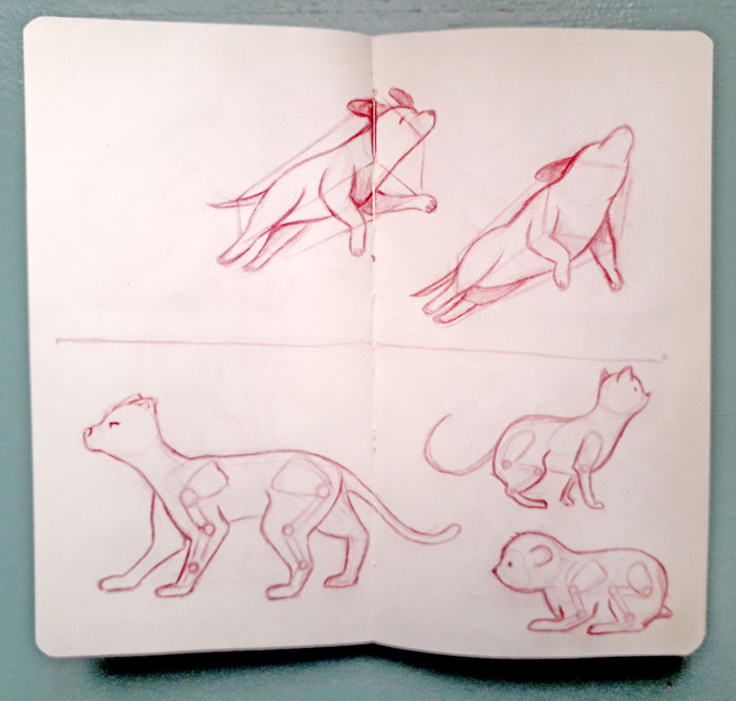 Mi proyecto del curso: Dibujo a lápiz de animales realistas para cuentos 3