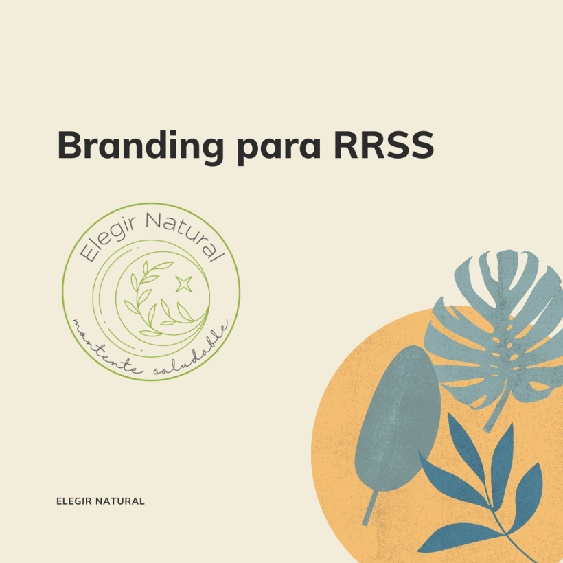 Mi proyecto del curso:  Personal branding estratégico para redes sociales 1