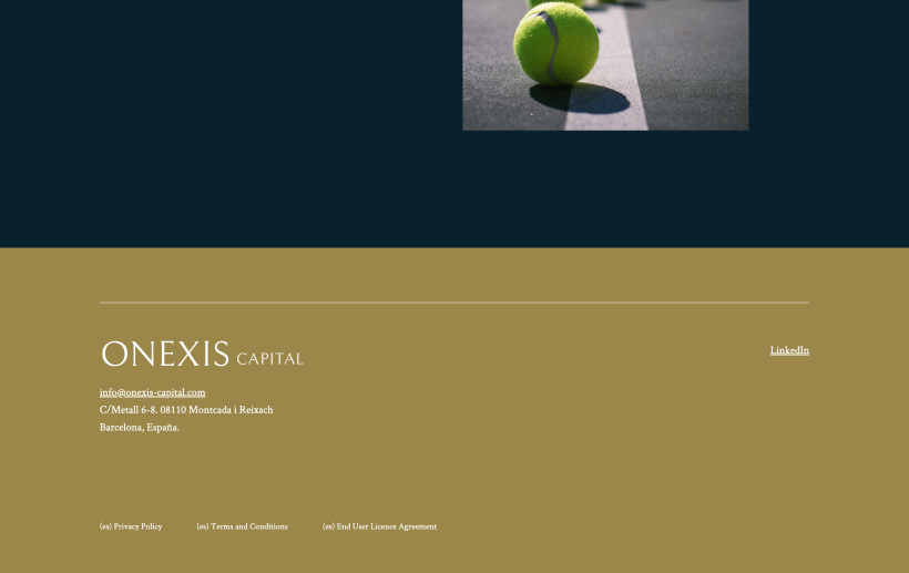 Proyecto: Onexis (Maquetación Web) 11
