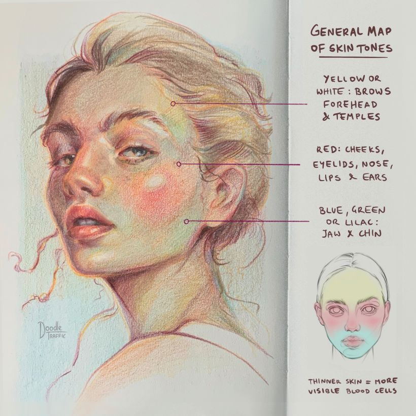 This Map shows how I usually distribute the hues on the face to paint the skin in semi-realistic way.