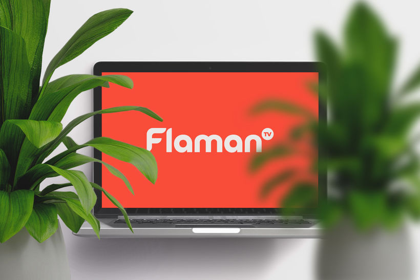 Flaman TV 1