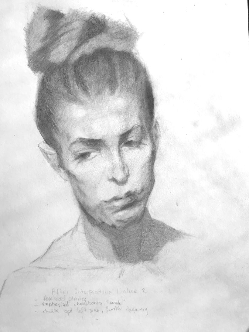 My project for course: Graphite Drawing Techniques for Planar Portraiture 17