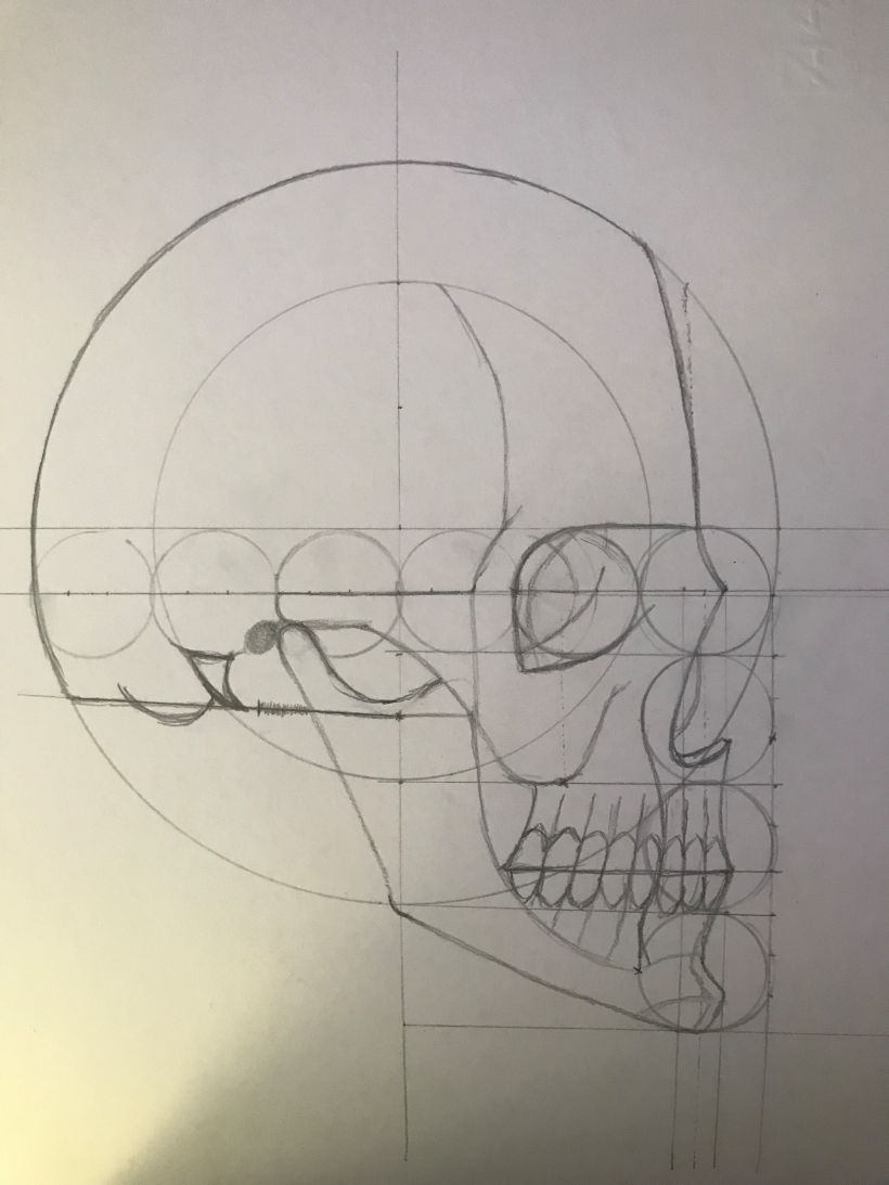 Il mio progetto del corso: Disegno anatomico della testa umana 5