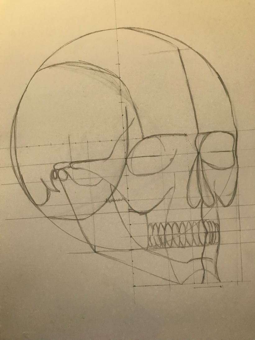 Il mio progetto del corso: Disegno anatomico della testa umana 7