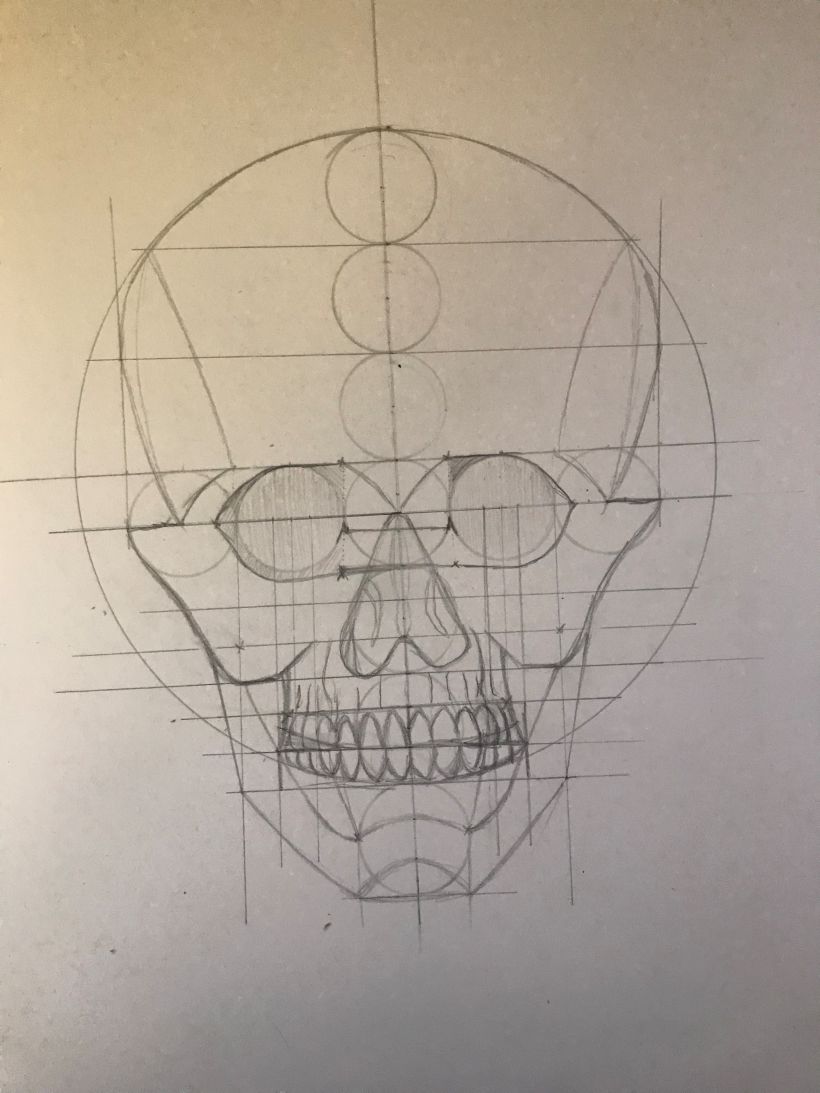 Il mio progetto del corso: Disegno anatomico della testa umana 11