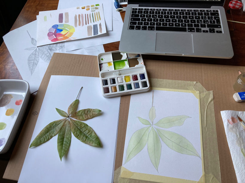 Il mio progetto del corso: Disegno botanico realistico ad acquerello 2