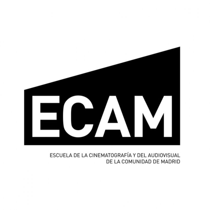 Profesor de Guión en la Escuela de Cine de Madrid (ECAM) 1