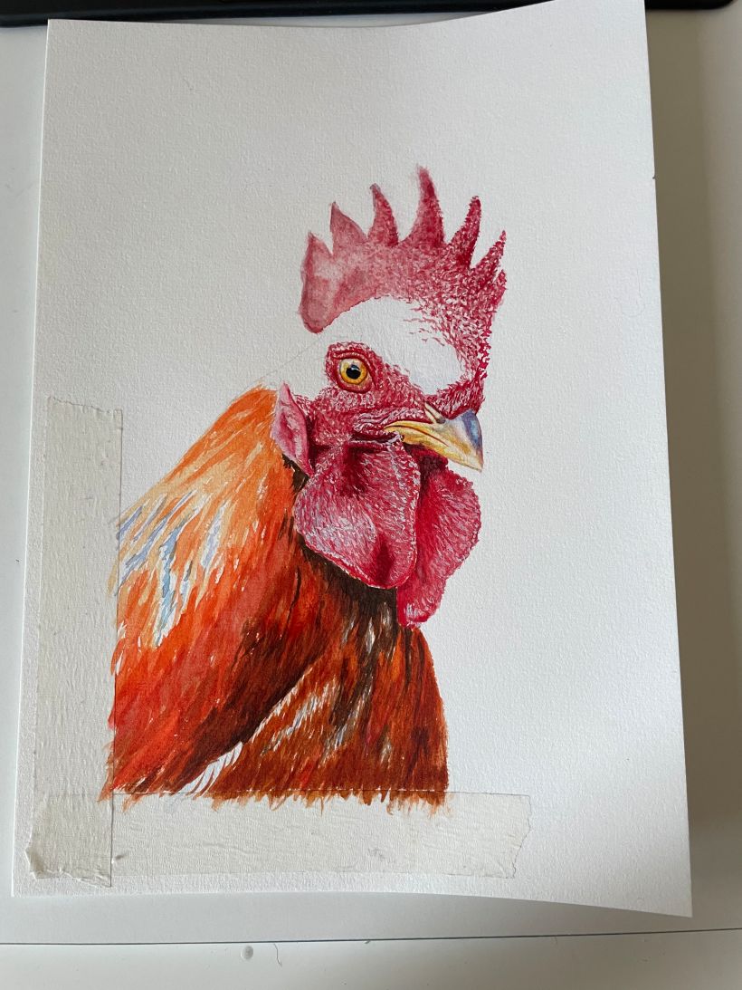 My project for course: Artistic Watercolor Techniques for Illustrating Birds 4