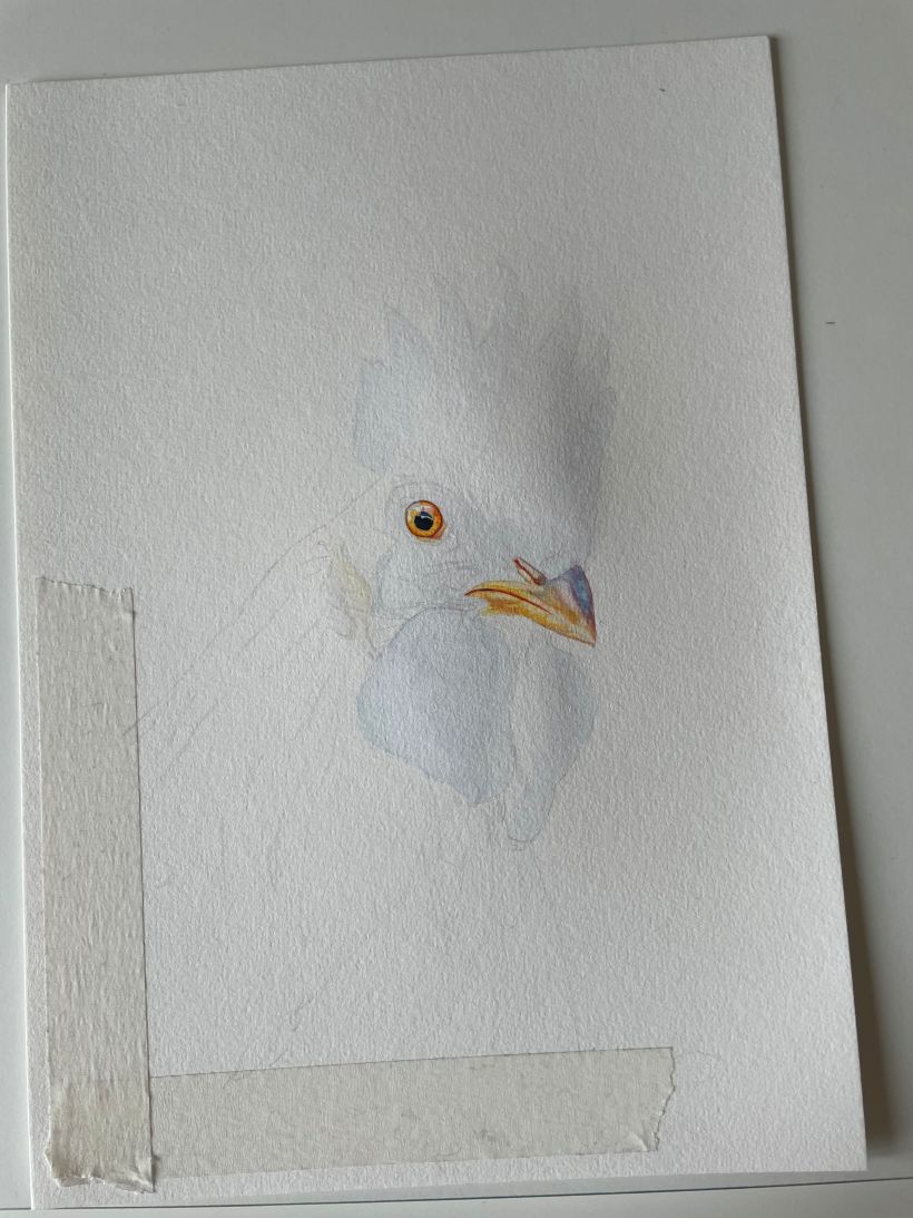 My project for course: Artistic Watercolor Techniques for Illustrating Birds 5