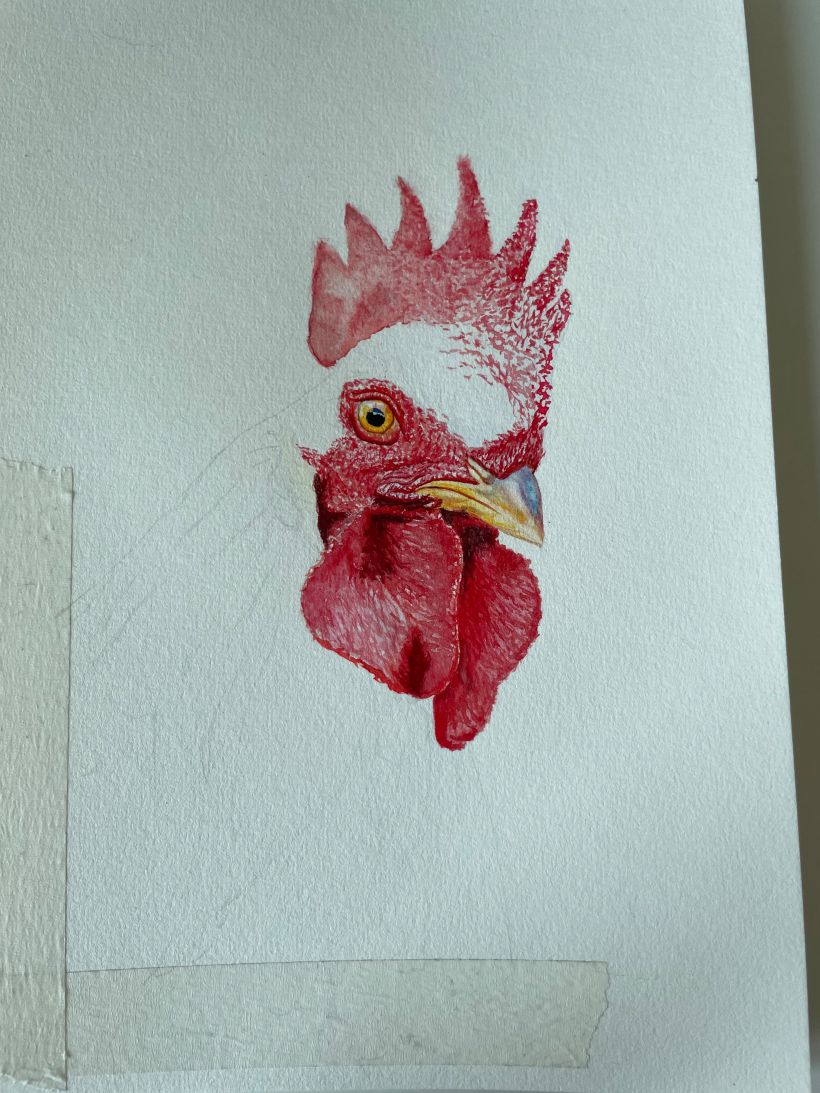 My project for course: Artistic Watercolor Techniques for Illustrating Birds 6