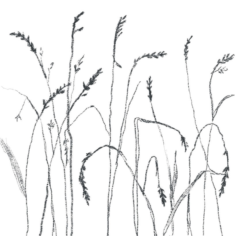 How to Draw Realistic Grass That's Ready to Be Seen - Let's Draw Today