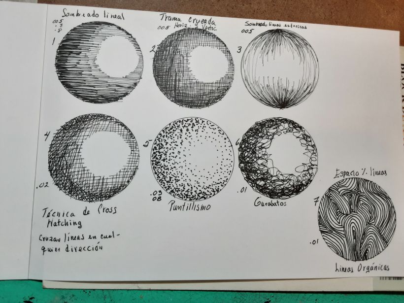 Mi proyecto del curso: Cuaderno botánico en acuarela 4