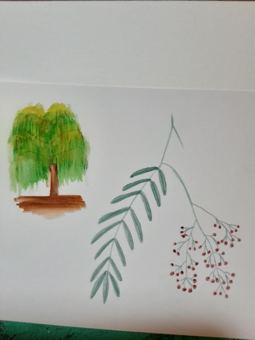 Mi proyecto del curso: Cuaderno botánico en acuarela 11