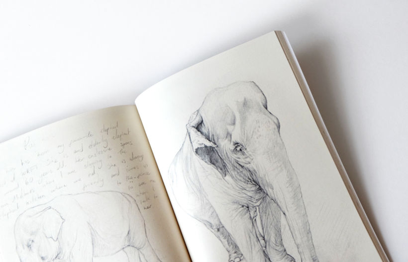 Sketches from a Disappearing World - Drawings of travels and animal encounters published in to a book 8