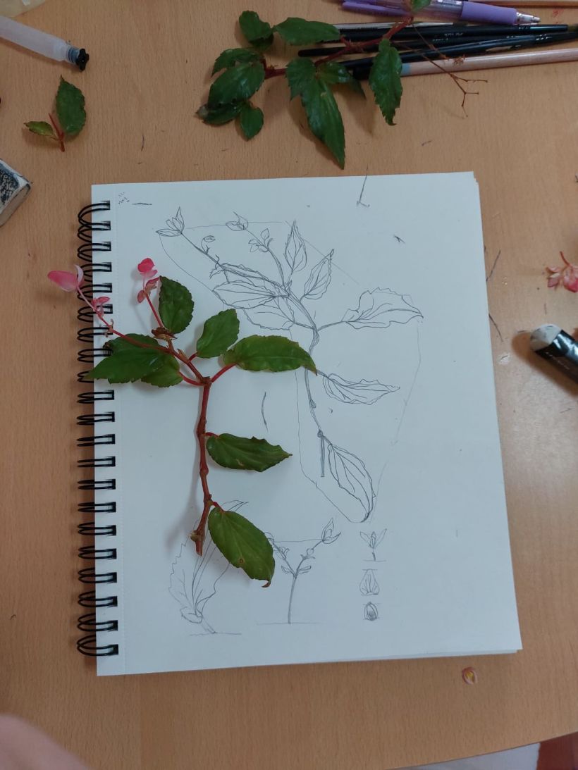 My project for course: Botanical Watercolor: Illustrate the Anatomy of Flowers 4