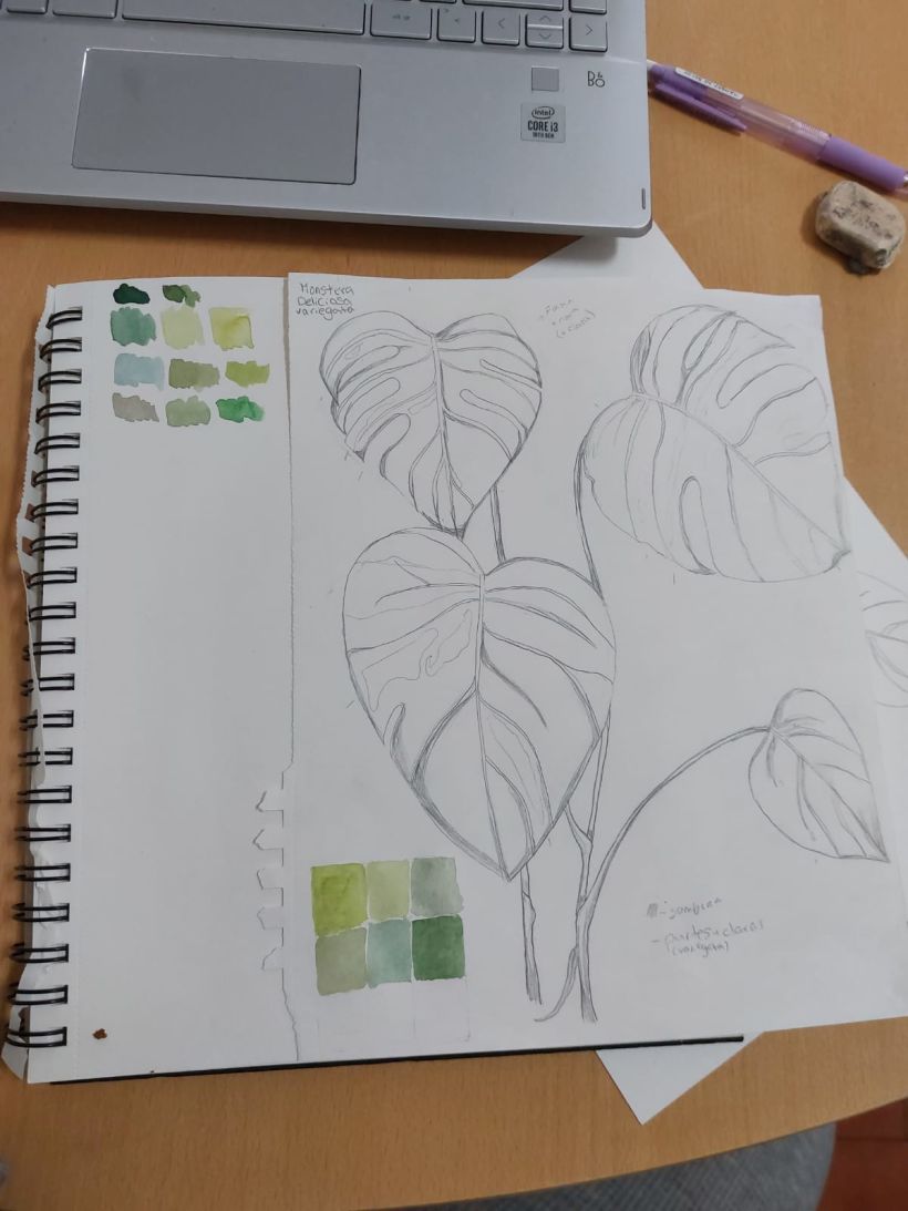 My project for course: Botanical Watercolor: Illustrate the Anatomy of Flowers 7
