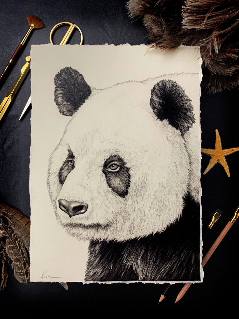 My project for course: Naturalistic Animal Drawing with Graphite Pencil 2