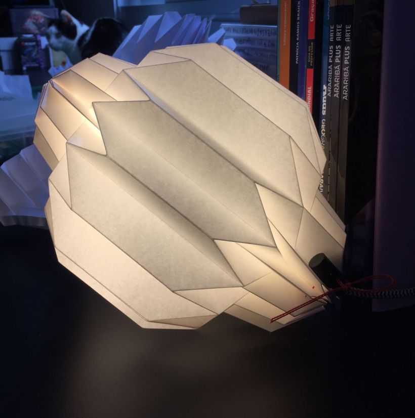 My project for course: Design Your Own Paper Lamp 3