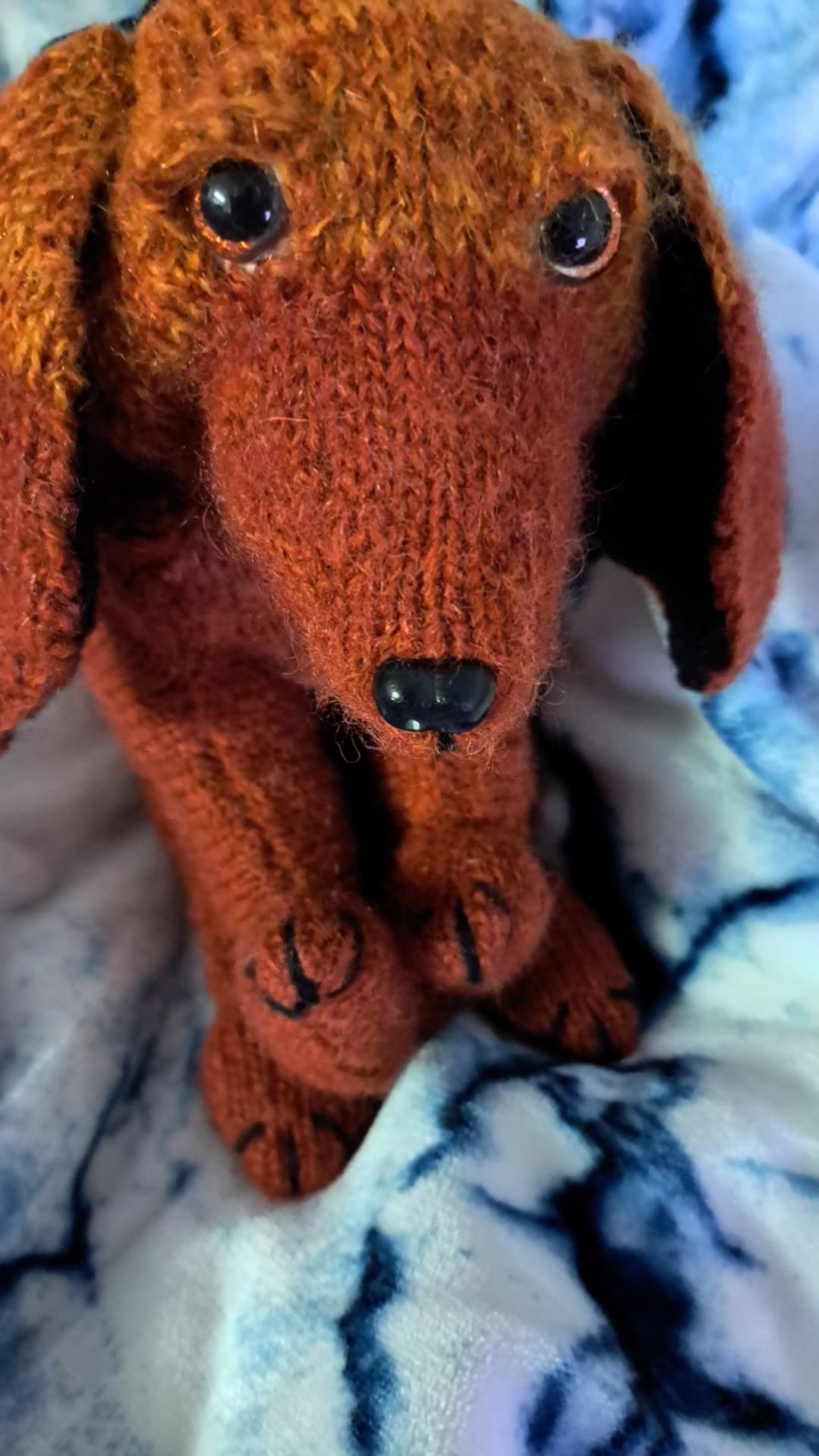 My project for course: Knitting Realistic Stuffed Animals: Make a Puppy from Yarn 1