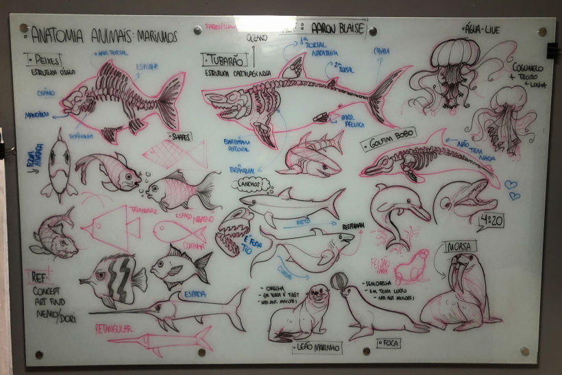 Lousa - Anatomia de Animais (Marinhos)