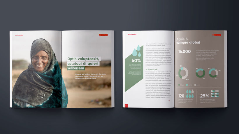 The application of the Sidelight graphic element on Action Aid Hellas annual report