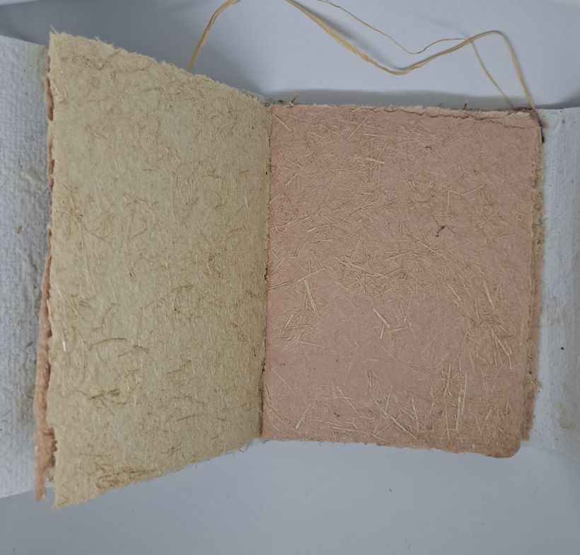 Mi proyecto del curso: Creación de papel artesanal con fibras naturales
