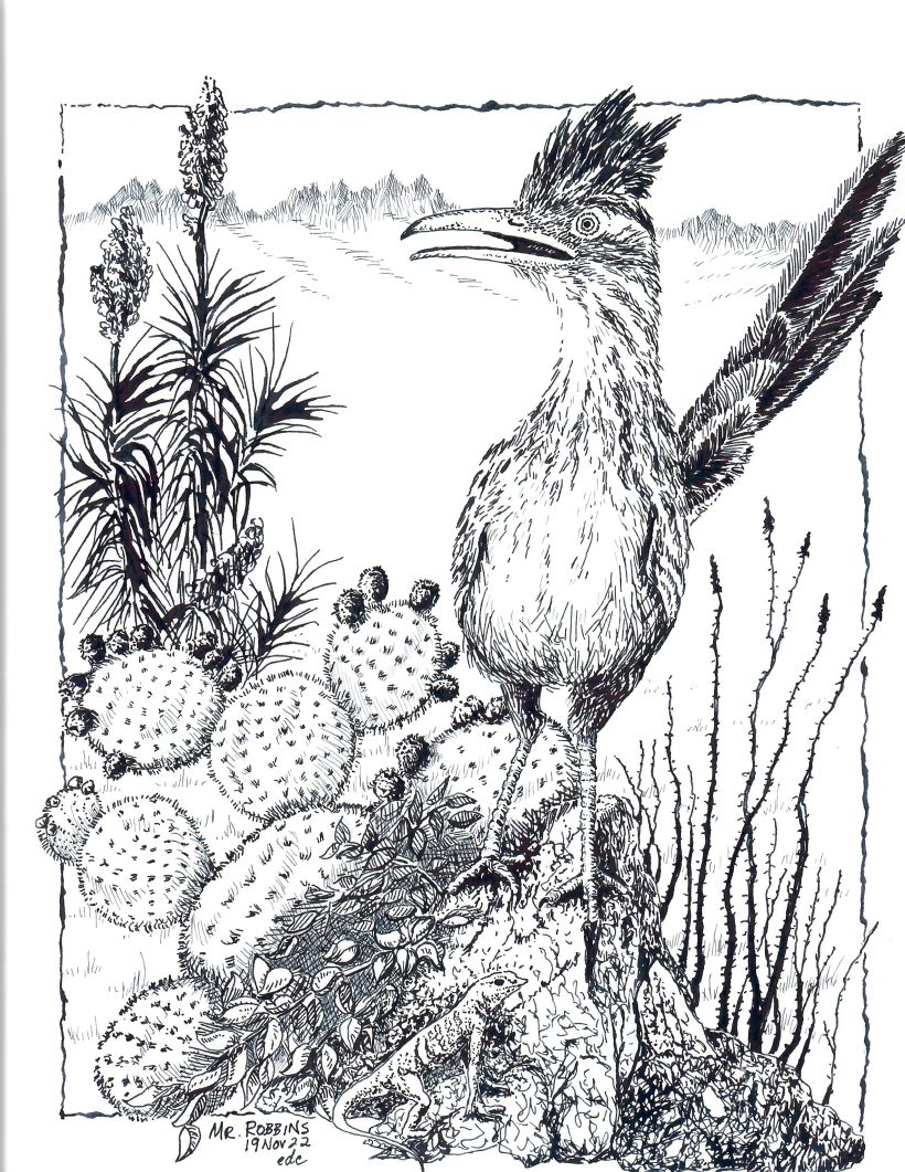 My project for course: Dip Pen and Ink Illustration: Capturing The Natural World 2