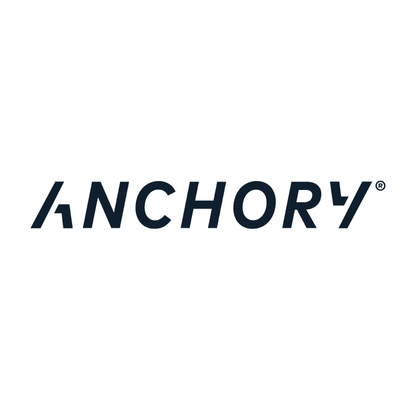 Anchory Brand Strategy And Brand Identity Design  6