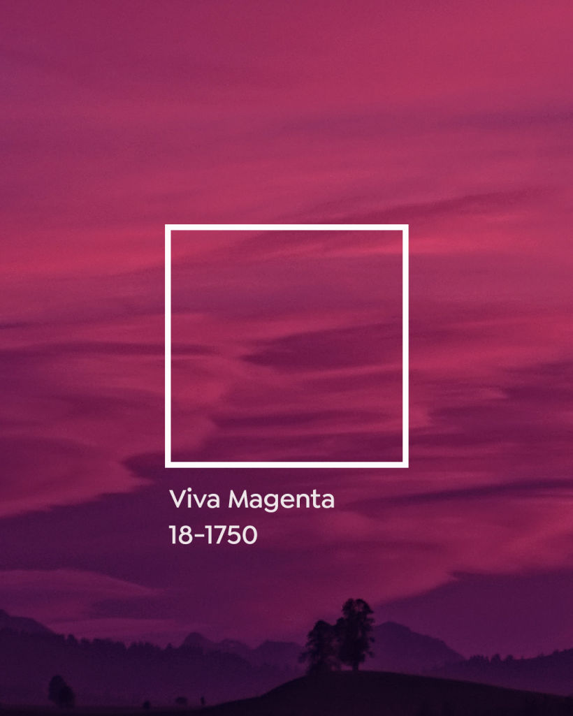 Viva Magenta 18-1750, color Pantone del año 2023. 
