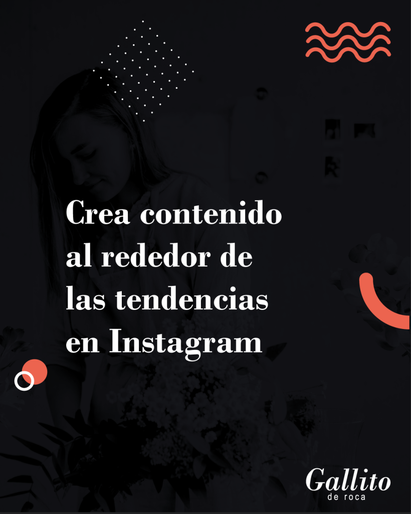 Proyecto Gallito de Roca: Estrategias de Instagram para desarrollo de marcas 5