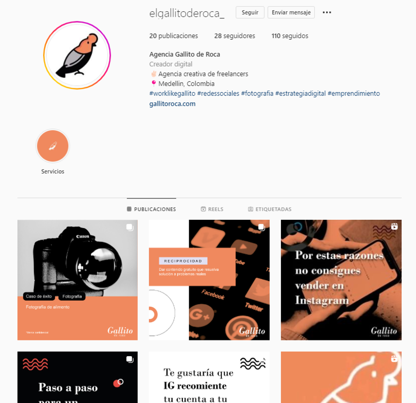 Proyecto Gallito de Roca: Estrategias de Instagram para desarrollo de marcas 15