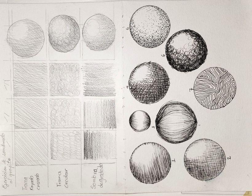 Los 3 rotuladores calibrados ideales para ilustración botánica - Lost in  Illustration