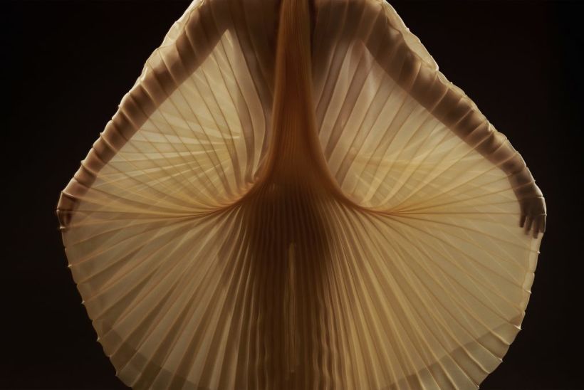 Detalle de espalda - organza de seda plisada