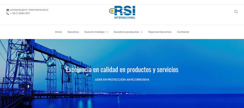 rsi-internacional.cl (marca, diseño y maquetación del sitio)