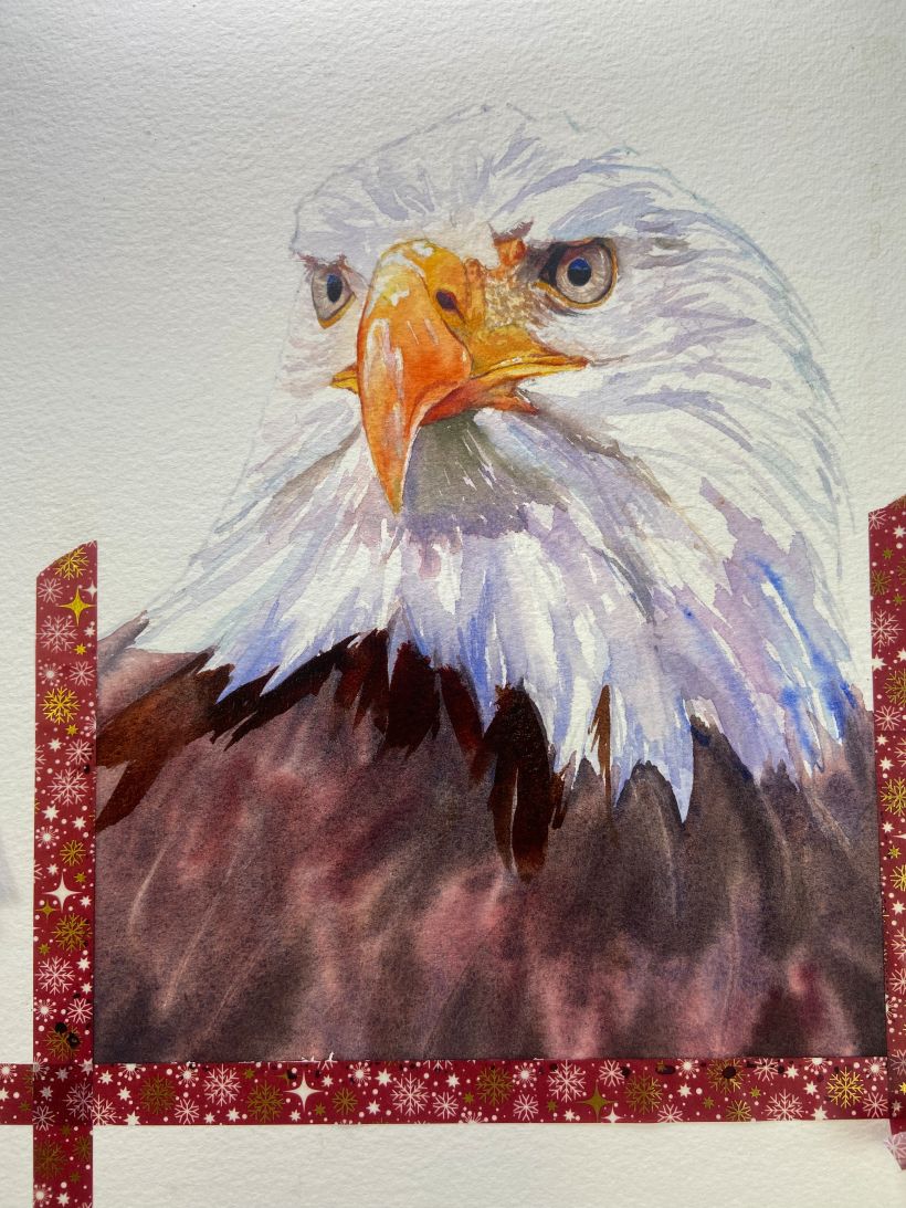 Philadelphia Love Eagle,Canvas Art.
