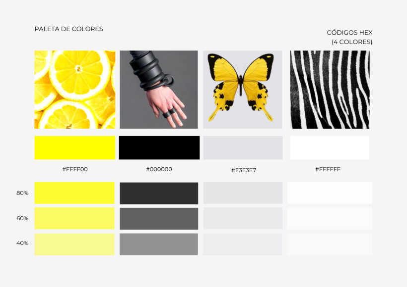 Paleta de colores N&L con imágenes de identidad de marca